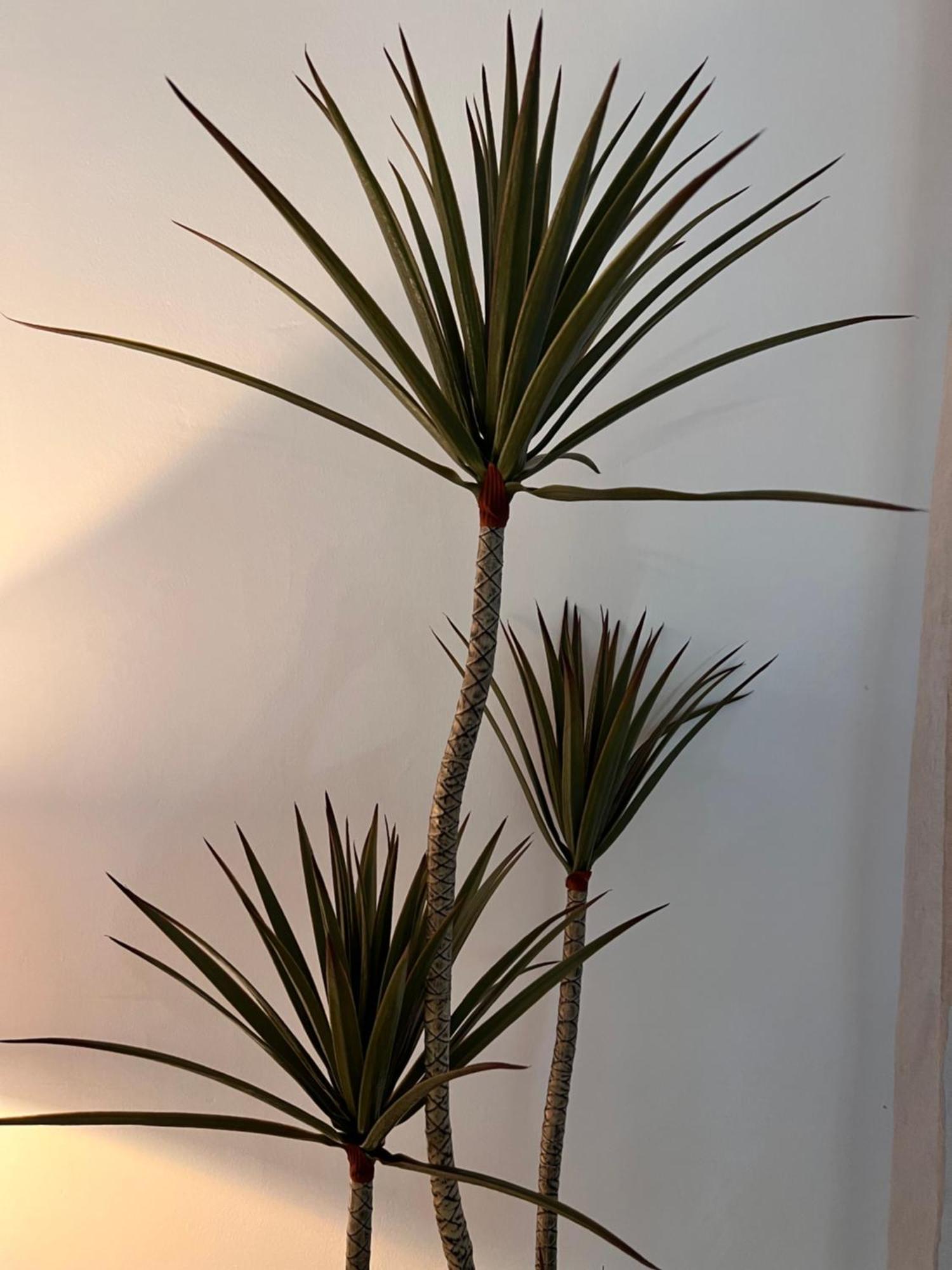Bambu Daire Carboneras Dış mekan fotoğraf